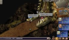 ꡼ No.005Υͥ / Ⲧμ꤫鳹襤˻ä褦֥֥ե륺פӥ3121300˳Ϸ