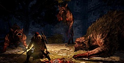 ���������꡼ No.008�Υ���ͥ������ / �ݤ�����ʪ�λ೼������������ʪ��Ƥ֡���Dragon's Dogma: Dark Arisen�פο����ꥢ�ȹ�����ɤȡ��������о줹����ʪ�ξ��󤬸���