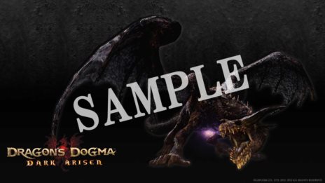 ���������꡼ No.003�Υ���ͥ������ / ��Dragon's Dogma: Dark Arisen��3��23��������ǡ�3��24��������ŹƬ�θ�����ɲó��Ť����ꡣŹ���̹�����ŵ���ɲþ���������