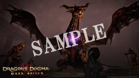 ���������꡼ No.004�Υ���ͥ������ / ��Dragon's Dogma: Dark Arisen��3��23��������ǡ�3��24��������ŹƬ�θ�����ɲó��Ť����ꡣŹ���̹�����ŵ���ɲþ���������
