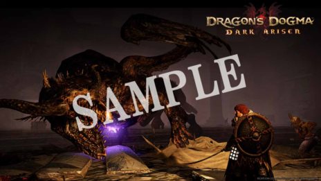 ���������꡼ No.007�Υ���ͥ������ / ��Dragon's Dogma: Dark Arisen��3��23��������ǡ�3��24��������ŹƬ�θ�����ɲó��Ť����ꡣŹ���̹�����ŵ���ɲþ���������