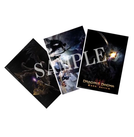 ���������꡼ No.011�Υ���ͥ������ / ��Dragon's Dogma: Dark Arisen��3��23��������ǡ�3��24��������ŹƬ�θ�����ɲó��Ť����ꡣŹ���̹�����ŵ���ɲþ���������