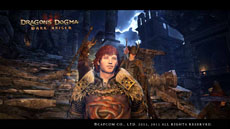 ꡼ No.015 | Dragon's Dogma: Dark Arisen׹࿷ʥ󥹥5Τξ󤬸ˡߥ˥ƥȡ֥ݡ󥳥ߥ˥ƥפΥ˥塼»