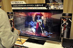 ꡼ No.024 | ĤȯȤʤDragon's Dogma: Dark Arisenפδȯɽݡȡơޥ󥰤ΤRaychellΥ饤֤