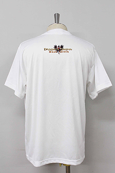 ꡼ No.060 | Dragon's Dogma: Dark Arisenפȯ䡣ꥢֹפϤᡤ󥹥䥫ॹɲáܸեܥǿ