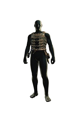 画像ギャラリー No.003のサムネイル画像 / 「Dragon’s Dogma: Dark Arisen」新たな防具が追加されるDLCが配信開始