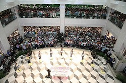 ꡼ No.008Υͥ / ֥եպ 2017פΥեݡȤ