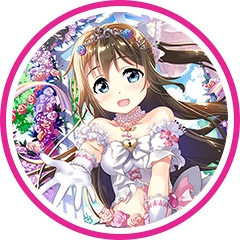 ꡼ No.003Υͥ / ֥եס5ǯǰPROJECT֥饭žեƥХפ520˥