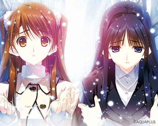 ꡼ No.002 | WHITE ALBUM2 ر 2023 reunionס1216ǳšͥο褵߷ ߤŷܿνб餬