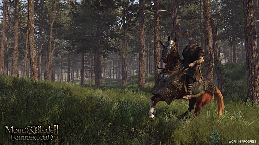 ���������꡼ No.004�Υ���ͥ������ / ��gamescom�ϡ�Mount & Blade II: Bannerlord�פˡ�5����5�ͤΥ���������˥ե�������������Captain Mode�פ�����