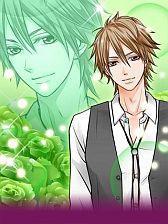 ꡼ No.004Υͥ / SLG֥ǥꥷ㥹ϡʤפGREEۿ