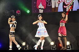 ꡼ No.025 | ͧо졣˥ᡤǥ륫ɥࡤ˥ƥɡ3DSѥեȤȡ¿̤ˤ錄äŸ֥ġץץȯɽݡ