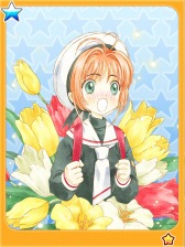 ꡼ No.010Υͥ / 륲֥ɥץ Ի׵ĤʥɡפΥӥ