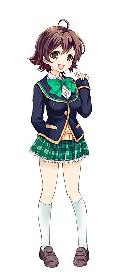 ���������꡼ No.003�Υ���ͥ������ / �֥�����ե��ɡʲ��ˡ���ͥ�ؤ����б餹��Web���ȡ����̼��ȡפ�24������