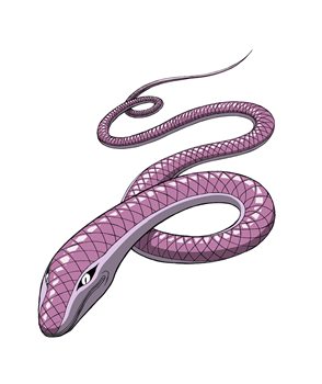 ꡼ No.007Υͥ / ֥ȥꥳ 󥹥פ1213ȯ䡣פо쥭饯Ūʥॷƥʤɤ