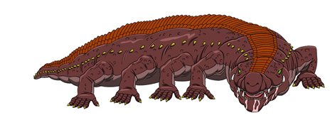 ꡼ No.049 | ֥ȥꥳ 󥹥פ1213ȯ䡣פо쥭饯Ūʥॷƥʤɤ