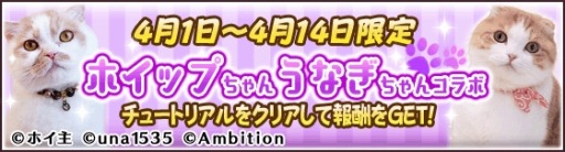 ꡼ No.002 | ֥ե꡼ɡפSNSǿ͵ǭ֥ۥåפʤפȤΥܤ»