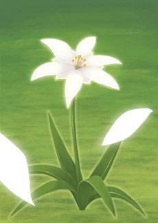 ꡼ No.004Υͥ / ֥ǥ D2ȿʬҤΩⲦХХΥץե䡤֥ᥤפξܺ٤ʤɤ餫