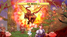 ꡼ No.035Υͥ / ֥ǥ D2ȿʬҤΩⲦХХΥץե䡤֥ᥤפξܺ٤ʤɤ餫