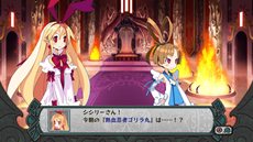 ꡼ No.002 | ֥ǥ D2׼͸ϡοȤ˵ɤΥȡ꡼䡤饯ã礭ʱƶͿ륲ॷƥ֥ޥͥȡפҲ