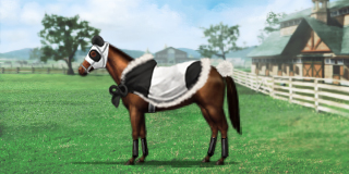 画像ギャラリー No.004のサムネイル画像 / 「100万人のWinning Post」,橋本マナミさんとのコラボイベント第2弾を開始