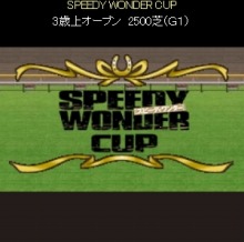 ꡼ No.013 | 100ͤWinning Postץ꡼ȡ֥ԡǥפΥ2Ƥ