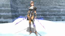 画像ギャラリー No.004のサムネイル画像 / 「PRIDE OF SOUL -舞翔伝-」,新武器「双剣」が19日追加。紹介PVが公開