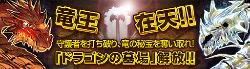 ꡼ No.003Υͥ / CHAOS VAIN׺Ƕ¸ߤⱽ󥸥֥ɥ饴׼