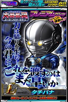 ꡼ No.005 | ֲ̥饤 饤Хȡץ٥ȡ֥졼Ϣ 硦䡦 ѡ饤׳