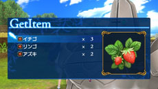 ꡼ No.012 | ֥㥤˥󥰡εȤʤ륢¼ǳڤǤҲNPCΰͤǤ륬를Υץեʤɤ