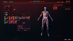 ꡼ No.021 | Сѥ2077