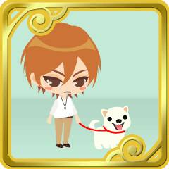 ꡼ No.004Υͥ / ֥祳ܤΥ祳äפGREEǡ֥롼ॷǴΥפ