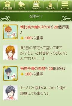 ꡼ No.008 | ֥祳ܤΥ祳äפGREEǡ֥롼ॷǴΥפ