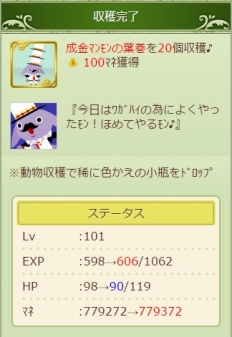 ꡼ No.005Υͥ / GREEǡ֥祳ܤΥ祳äפȡֿΥϥ饲ȡפ