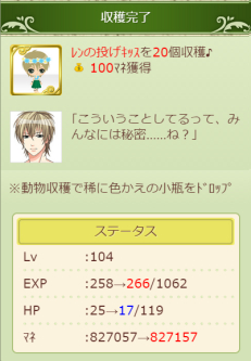 ꡼ No.007 | ֥祳ܤΥ祳äפȡΥˡפΥܤ