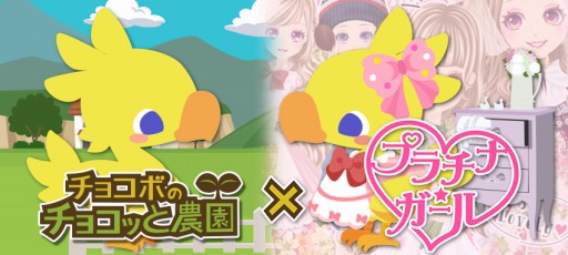 ꡼ No.005Υͥ / ֥祳ܤΥ祳äפ֥ץʡס!!ǥ֥쥤פȥܤ»