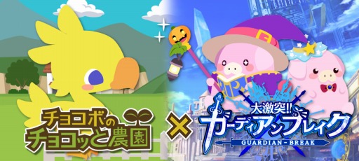 ꡼ No.010Υͥ / ֥祳ܤΥ祳äפ֥ץʡס!!ǥ֥쥤פȥܤ»