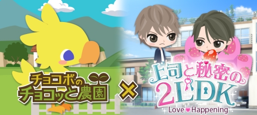 ꡼ No.003Υͥ / GREEǡ֥祳ܤΥ祳äפȡ־ʤ̩2LDKפߥܥ٥Ȥ