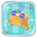 ꡼ No.008 | GREEǡ֥祳ܤΥ祳äפȡ־ʤ̩2LDKפߥܥ٥Ȥ