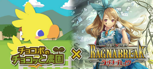 ꡼ No.001Υͥ / ֥祳ܤΥ祳äפȡֿ߷Ѿ!饰ʥ֥쥤פ