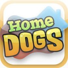 �ѥå�����