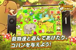 アニマルコレクション