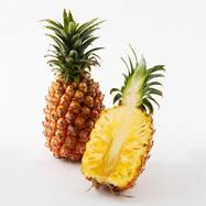 画像ギャラリー No.008のサムネイル画像 / 「ちょこっとファーム」,インターネット宅配サイト「Oisix」とのコラボを実施