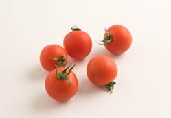 画像ギャラリー No.009のサムネイル画像 / 「ちょこっとファーム」,インターネット宅配サイト「Oisix」とのコラボを実施