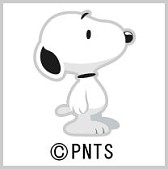 ꡼ No.002 | ֤礳äȥեפǡ̡֥ԡפȤΥܥ٥Ȥ缡