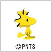 ꡼ No.003 | ֤礳äȥեפǡ̡֥ԡפȤΥܥ٥Ȥ缡