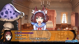 ꡼ No.022Υͥ / ͤȥХ鿧ξꤿͤΤΡ֥ǥ󥲥ԥץ쥤ݡ