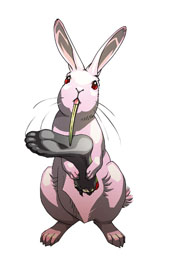 ꡼ No.023 | ֥ǥ󥲥ץץ˥󥰥ࡼӡȤʤߥåɤΥޥåפ䡤ƥ󥸥о줹󥹥ãΥ饹Ȥ餫