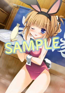 ꡼ No.005Υͥ / 1/2 summer+סäѲƥȻפʡ˳ʹΥҥã򤢤äŹŵ