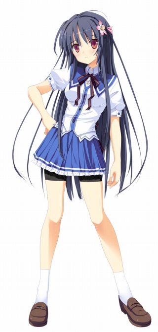 ꡼ No.003 | Ϻˡդβİ¹äƤʤADVֵä Portableפȯ